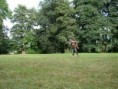 /album/park-s-moysesa/a01-jpg/
