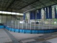 /album/zimny-stadion/a0-jpg/