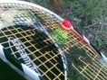 /album/fun-speed/fun-speed-foto-jpg/